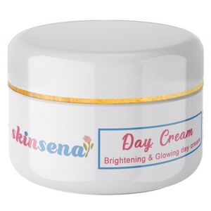 CEK BPOM Skinsena Day Cream