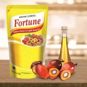 CEK BPOM Minyak Goreng Sawit Fortune