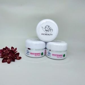 Cek Bpom Whitening Day Cream Probeauty