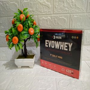 Cek Bpom Pangan Tambahan Untuk Olahragawan Tinggi Energi Protein Rasa Cokelat Evowhey