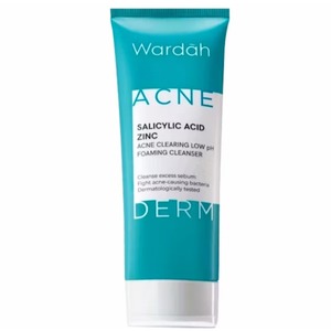 Cek Bpom Acnederm Salicylic Acid Zinc Acne Clearing Low Ph Foaming Cleanser Wardah